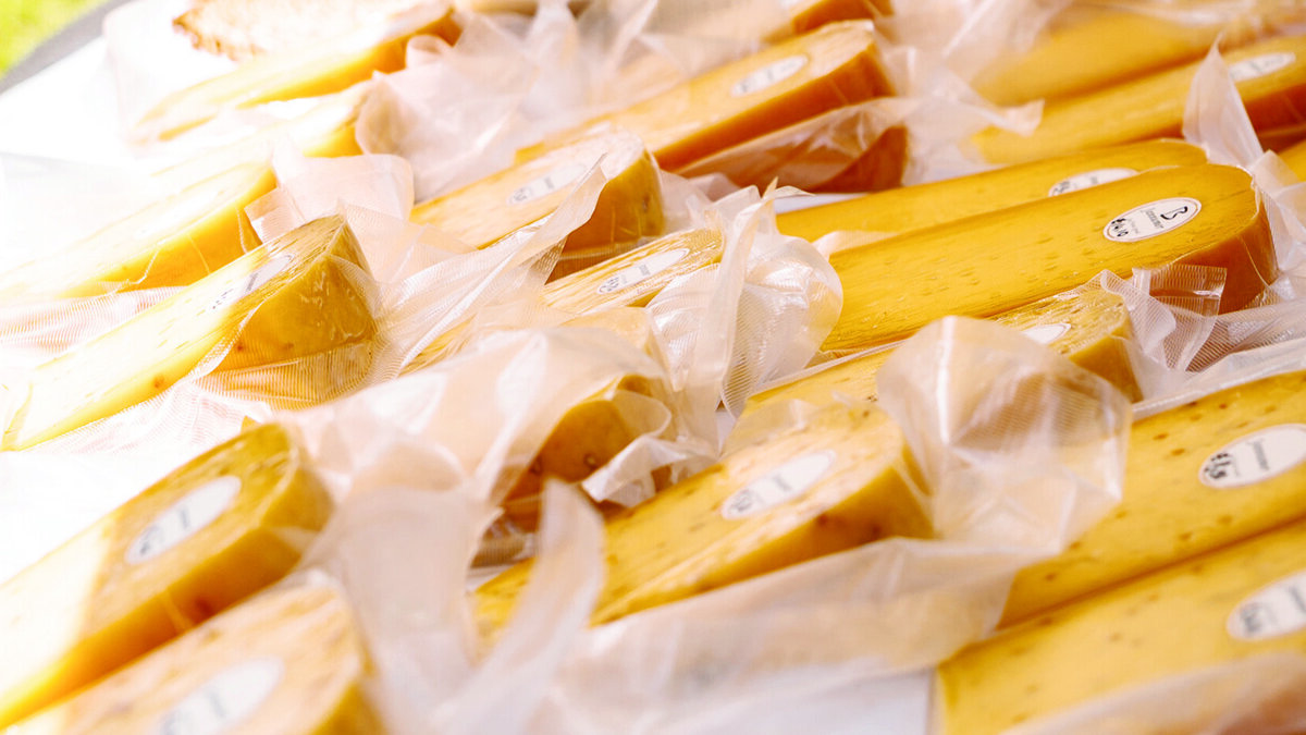 AnneFamkes Pleats.jpg