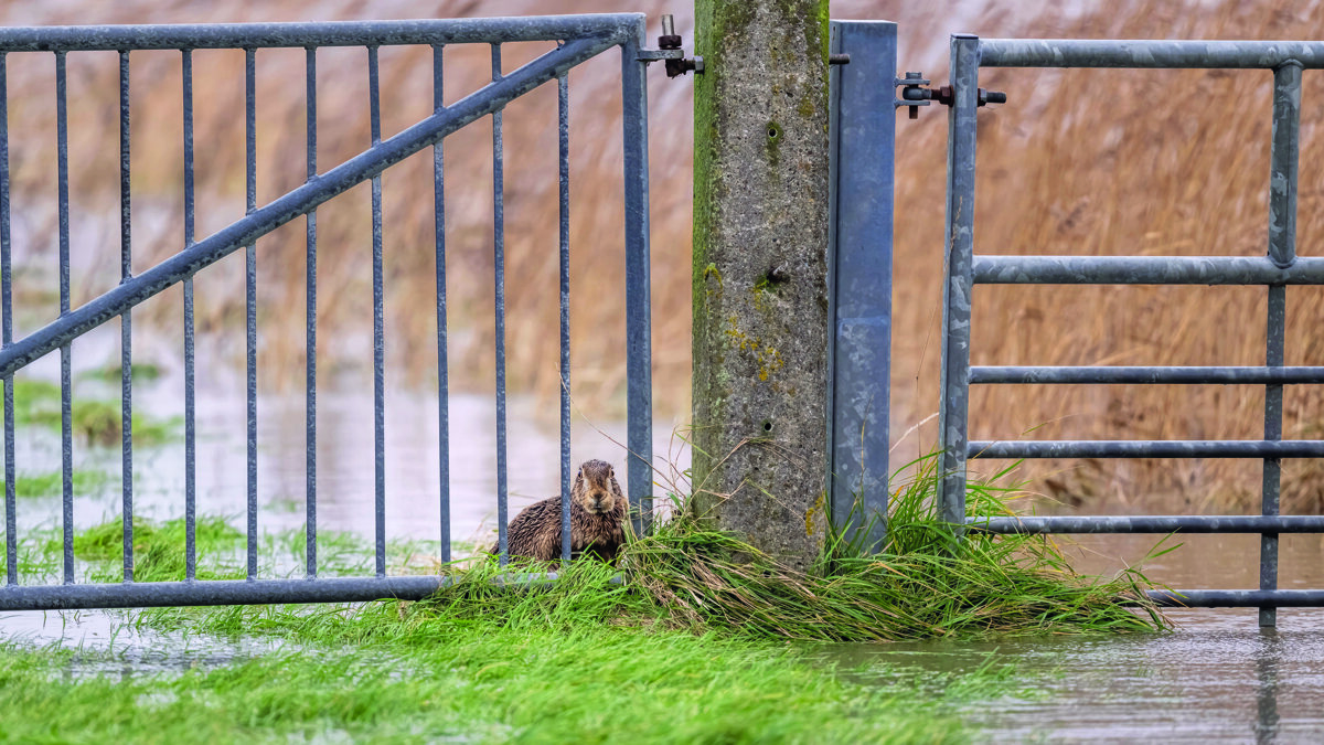 Douwe Struiksma fotograaf vd maand.jpg