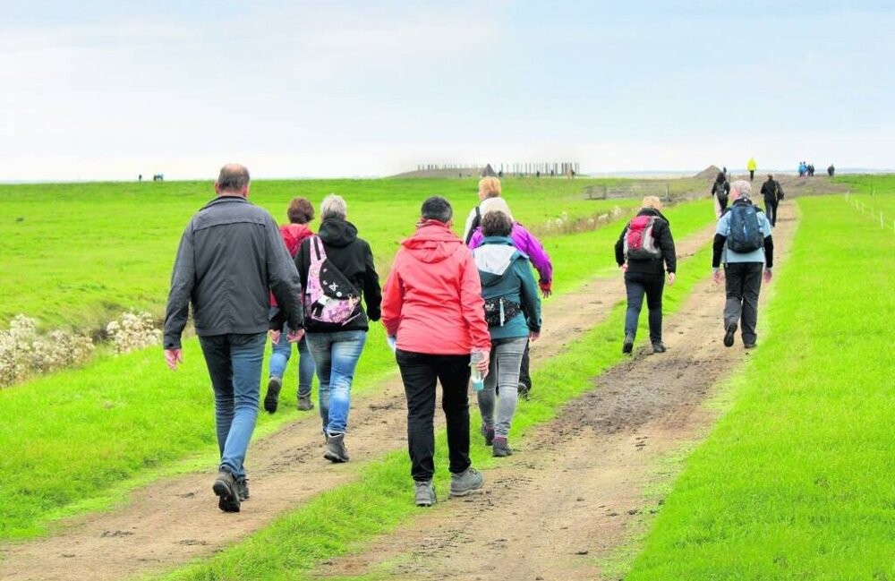 Waddenwandeltocht foto.jpeg