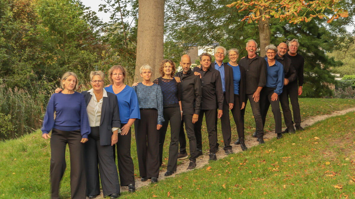 Schierstins STIM.jpg