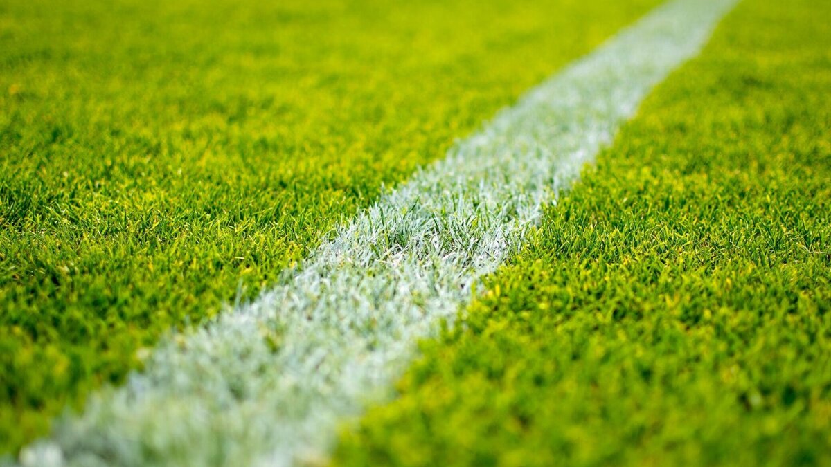 voetbal