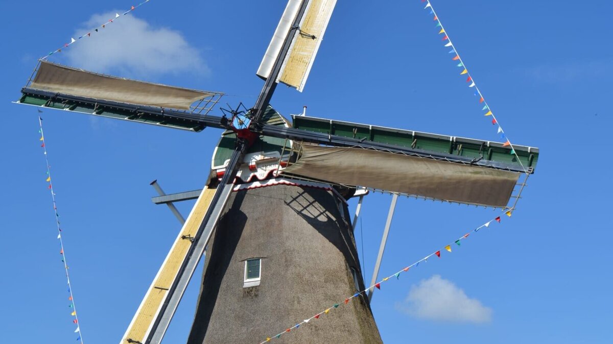 Molen Stiens vlaggetjes