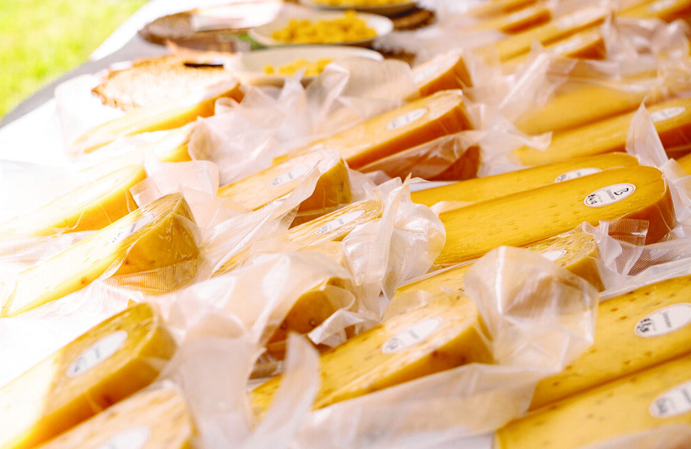 AnneFamkes Pleats.jpg