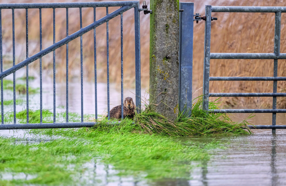 Douwe Struiksma fotograaf vd maand.jpg